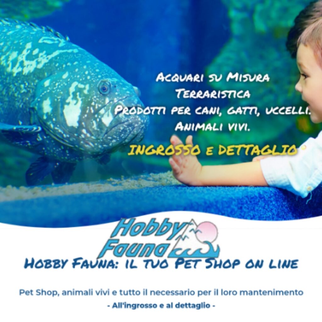 Acquario aperto di acqua dolce - Animali In vendita a Napoli